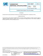 SAE AMSP29609A PDF