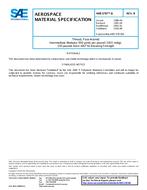 SAE AMS3787/6B PDF