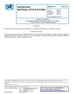 SAE AMS3787/7B PDF