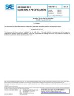 SAE AMS3796/1B PDF