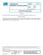 SAE AMS3802F PDF
