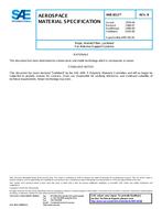 SAE AMS3813B PDF