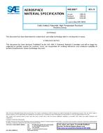 SAE AMS3800B PDF
