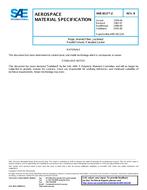 SAE AMS3813/2B PDF