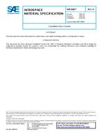 SAE AMS3880D PDF