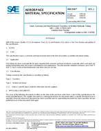 SAE AMS5556J PDF