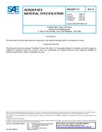 SAE AMS3894/17B PDF