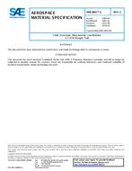 SAE AMS3801/5C PDF