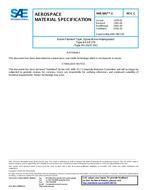 SAE AMS3867/1C PDF