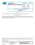 SAE AMS3867/6B PDF