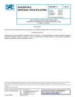 SAE AMS3906/7C PDF