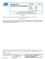SAE AMS3906C PDF