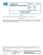 SAE AMS3903/2B PDF