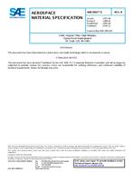 SAE AMS3903/5B PDF