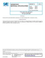 SAE AMS3903/8B PDF