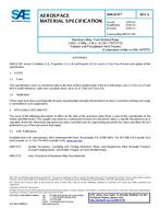 SAE AMS4174E PDF