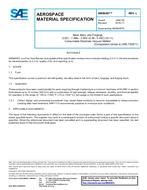 SAE AMS6487L PDF