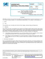 SAE AMS6409E PDF