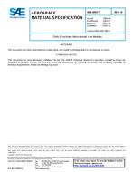 SAE AMS3801D PDF
