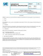 SAE AMS6267J PDF
