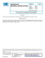 SAE AMS3831B PDF