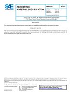 SAE AMS3834B PDF