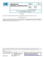 SAE AMS3847D PDF