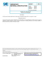 SAE AMS3890B PDF