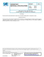 SAE AMS3844C PDF