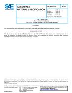 SAE AMS3892/10B PDF