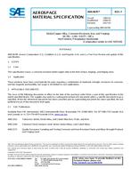 SAE AMS4676F PDF