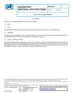 SAE AMS2821 PDF