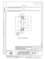 SAE AS27648/1 PDF