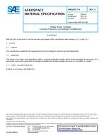 SAE AMS2451/4C PDF