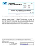 SAE AMS5363F PDF