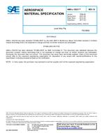 SAE AMSL18331B PDF
