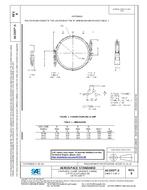 SAE AS5355/3B PDF