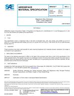 SAE AMS4352J PDF