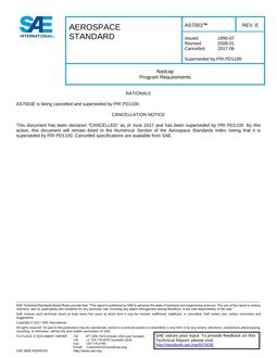 SAE AS7003E PDF