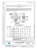 SAE AS21906D PDF