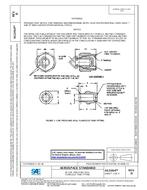 SAE AS21914D PDF