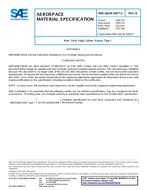SAE AMSQQW428/1B PDF