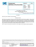 SAE AMS7301J PDF