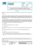 SAE AS5958F PDF