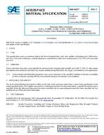 SAE AMS4163F PDF