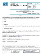 SAE AMS5333G PDF