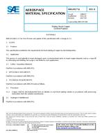 SAE AMS2451/6B PDF