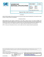 SAE AMSM45202B PDF