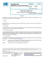 SAE AMS4206C PDF
