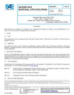SAE AMS4329B PDF